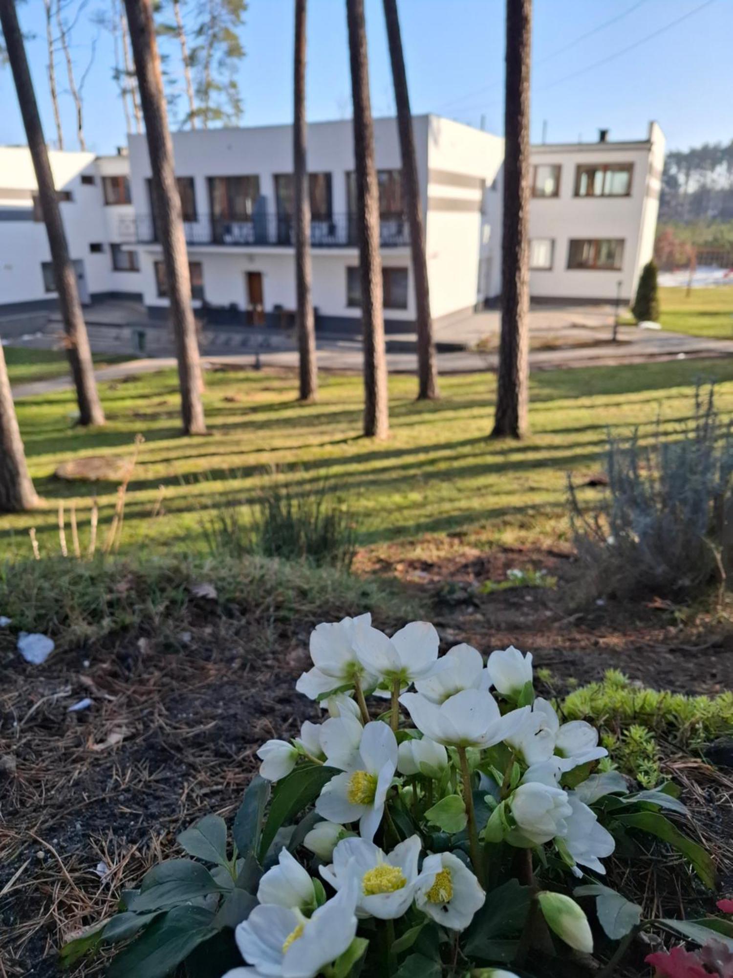 Hotel Wodnik Turawa Exteriér fotografie